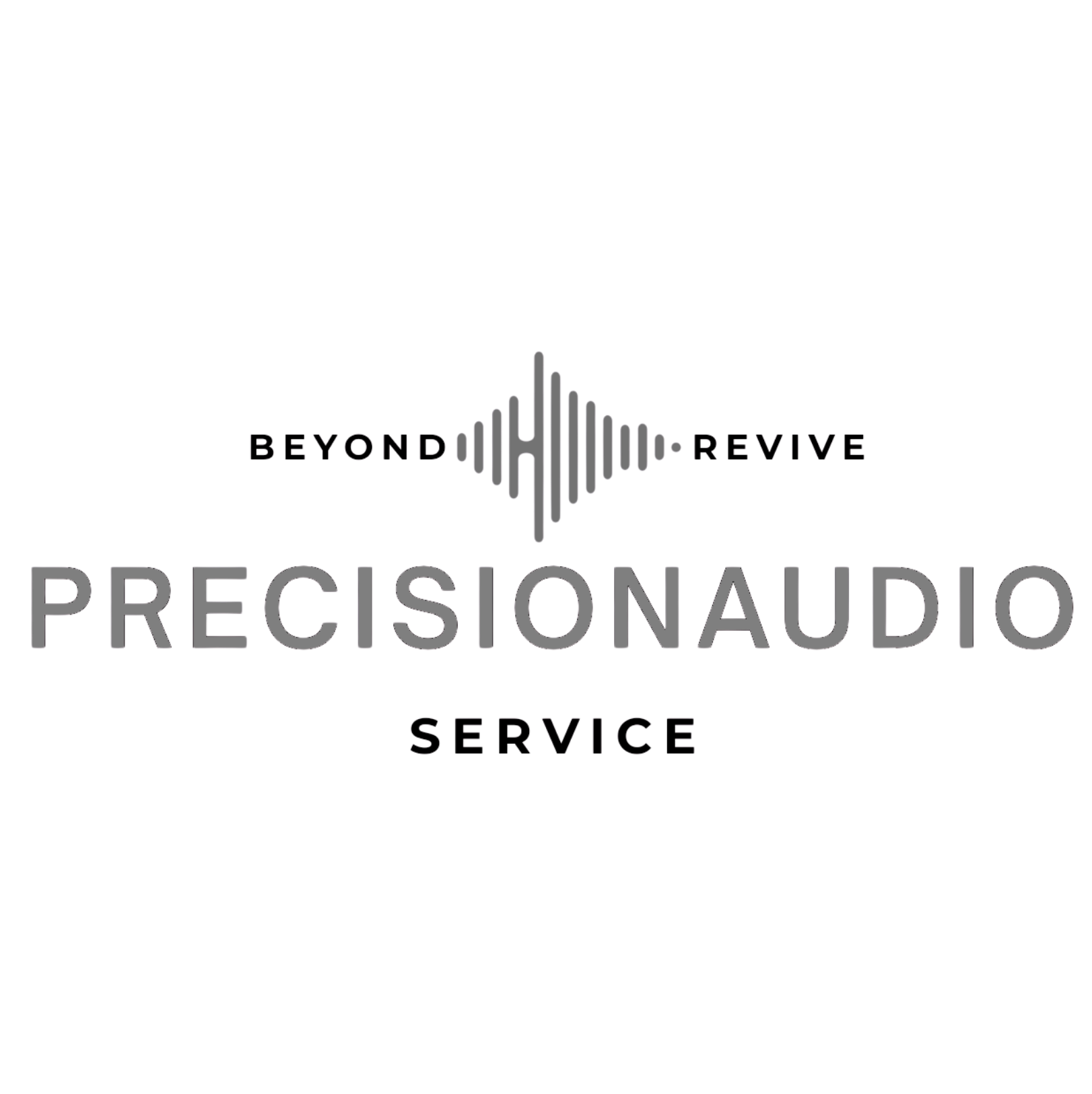 Precision-Audio-Service